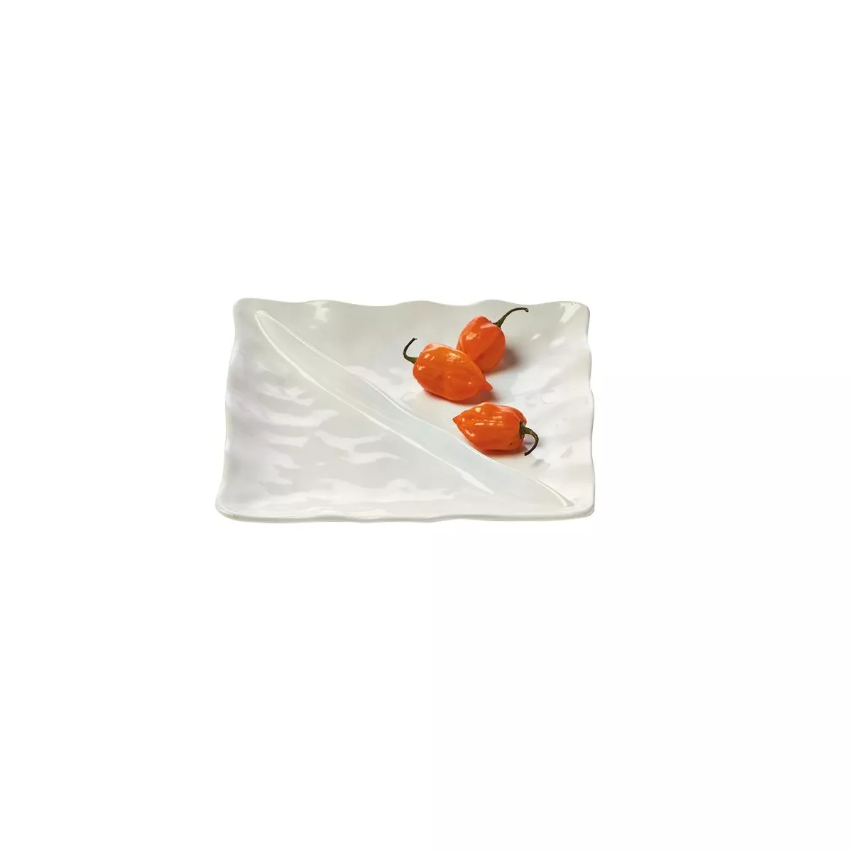TAG Formoso Divided Dish Dinnerware Serving Plate